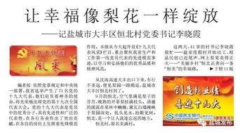 盐城日报爆料内容最新,聚焦城市热点事件，揭秘背后真相